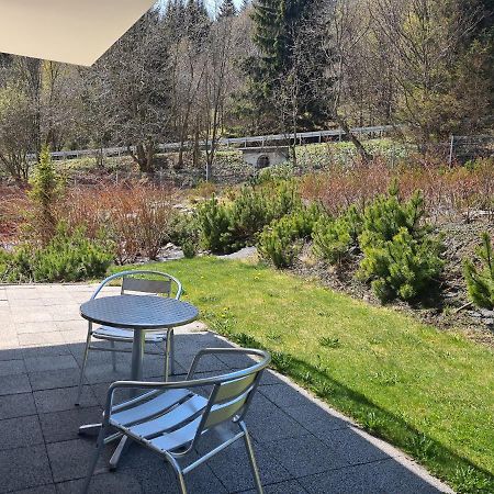 שייננה Apartament Czarna Gora B11 מראה חיצוני תמונה